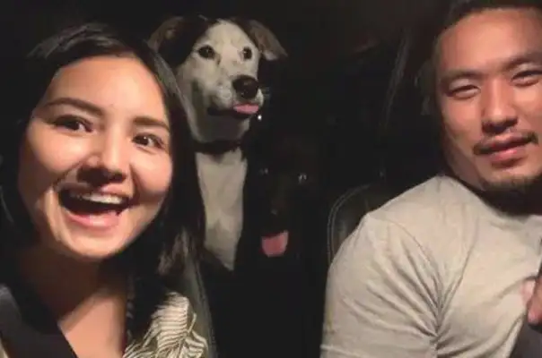 It's hard being dragged by the master to film the family's fortunes. The dog's eyes are turned to the back of his head