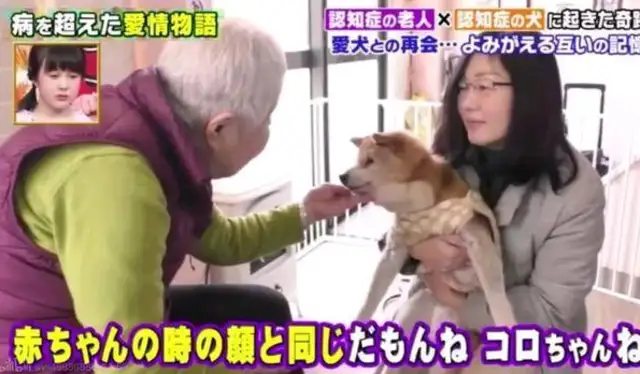 Dogs and masters have changed to Alzheimer's