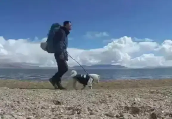 Warm! The stray dog has a backpacker, one dog on foot for over 5,000 km