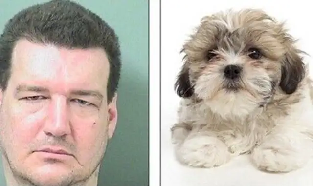 A man mistreated a dog so badly that his left eye was blind