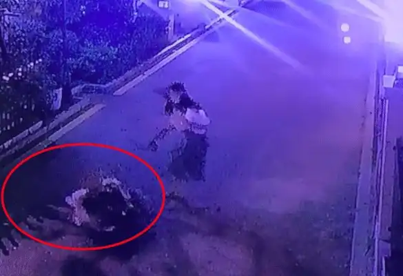 The dog without the ropes went to the Akitas and was killed