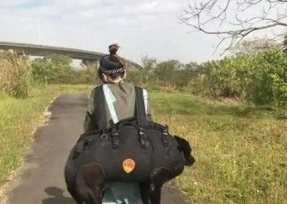 The dog is too old to walk
