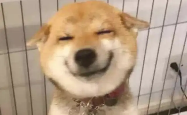 The master deliberately ignores the dog, the dog smiles a little, and suddenly turns him upside down