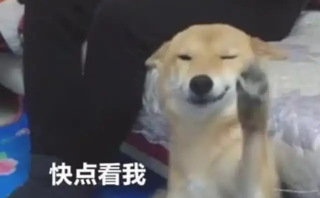 The master deliberately ignores the dog, the dog smiles a little, and suddenly turns him upside down
