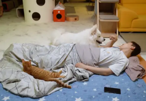 The master sleeps with the cat and the dog for one night, and the cat and the dog have the difference: the dog still caressssses in the middle of the night