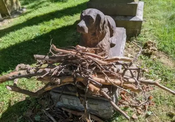 The best known cemetery is the dog. The warm road is full of branches in front of it