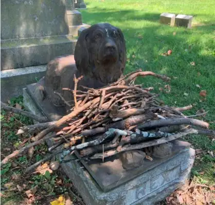 The best known cemetery is the dog. The warm road is full of branches in front of it