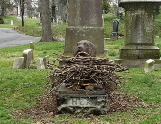 The best known cemetery is the dog. The warm road is full of branches in front of it