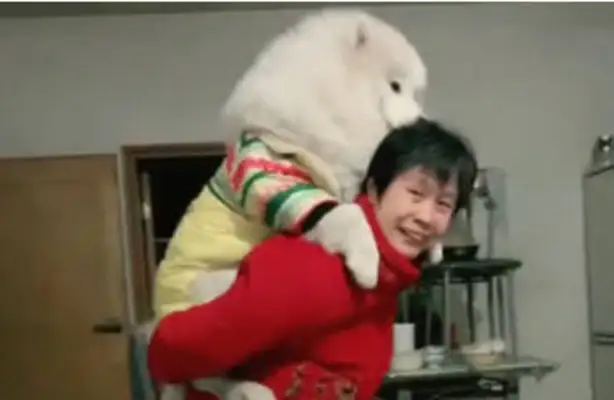 A woman can't cure a dog and let her take care of her for a month