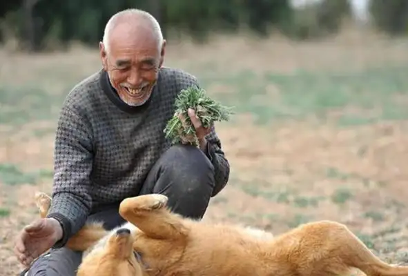 Even though the masters like to treat an alien dog as a pet, only a field dog knows how to appreciate and repay