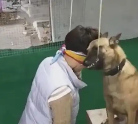 The master acts like he's hanged, the dog rescues quickly, the tooth bites off the rope in an instant