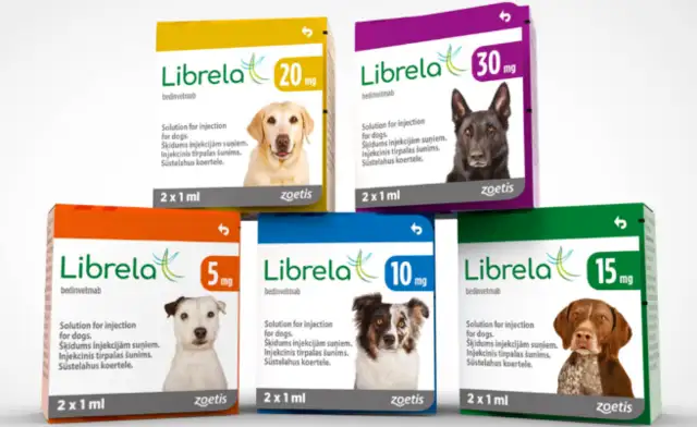 The official launch of two new drugs on the United States market to treat canine arthritis and speciality The skin. Rin