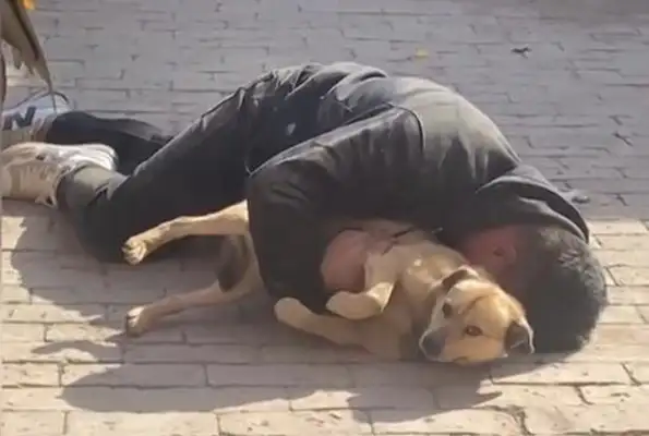 Hebei's men were drunk and were sleeping with dogs! Dog face: I didn't drink at all