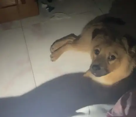 The girl who lives alone has a break-in outside the door in the middle of the night