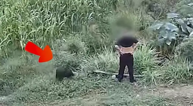 The man was bitten by a bad dog and strangled with his bare hands