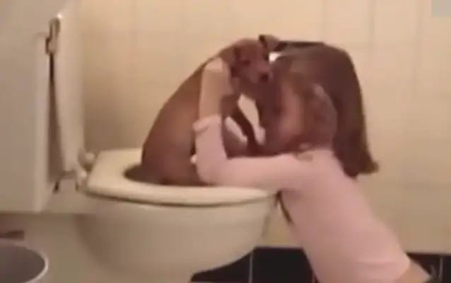 Late at night, the girl was in the bathroom with a dog, and she took a look at the light
