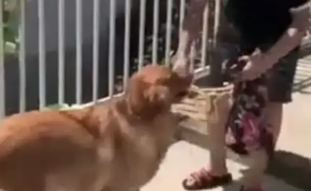 The man who hangs his clothes on the dog brought this, Master: You know too much