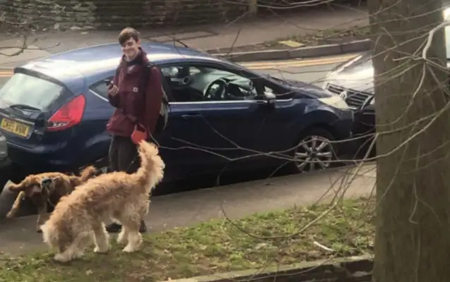 There's a professional dog walker's boyfriend, girl: every day a surprise