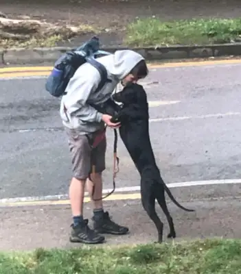 There's a professional dog walker's boyfriend, girl: every day a surprise