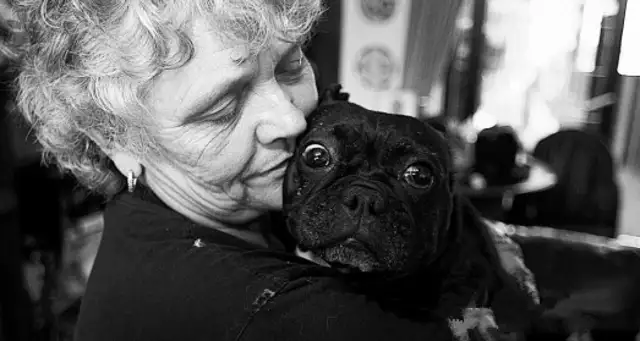 The English couple spend £30,000 a year raising 41 pet dogs