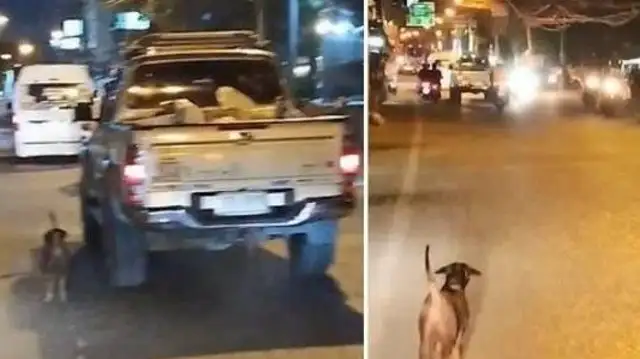 The dog ran after a car to bleed, and the passers-by ran after him and left his word behind