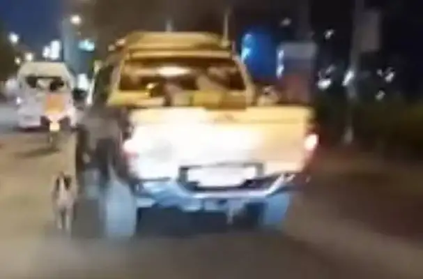 The dog ran after a car to bleed, and the passers-by ran after him and left his word behind