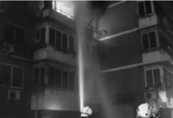 Firedogs live to save lives