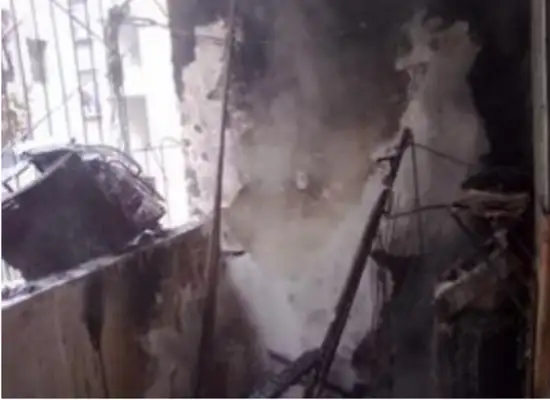 Firedogs live to save lives