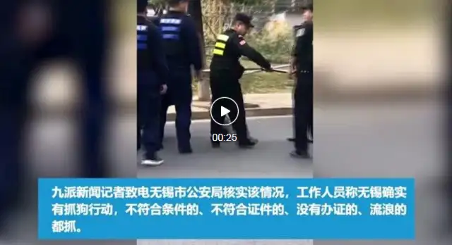 "China Beats Dog Hot": Ignorance is worse than vagrant animals, and heart is worse than ignorance