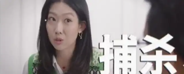 Shen Yin: stray cats and dogs are invasive animals and should be hunted directly