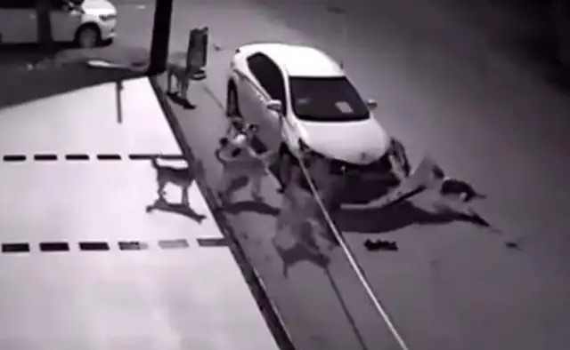 The man kicked a stray dog when he got out of the car, and the next day the car broke