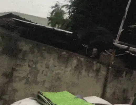 The dog always escapes from prison and can't find it