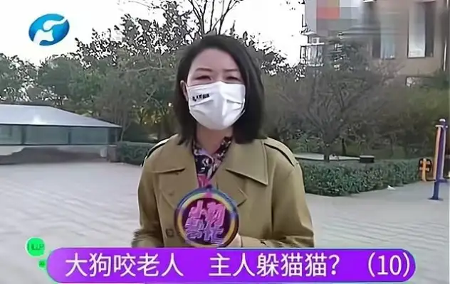Follow-up to dog bites: journalists were crying, local authorities were investigating, Wang Xin just apologized