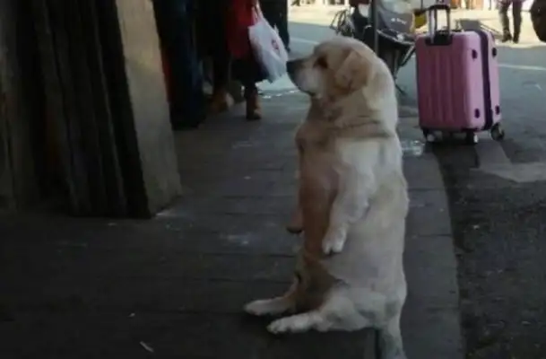 He's been on the streets for years. He knows who's good