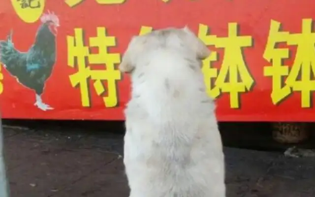 He's been on the streets for years. He knows who's good