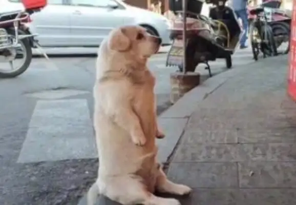 He's been on the streets for years. He knows who's good