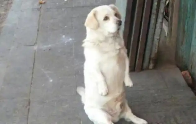 He's been on the streets for years. He knows who's good