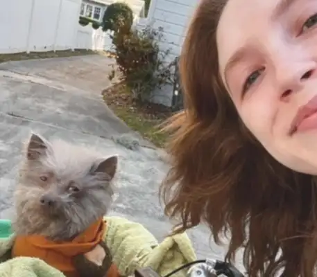 Every time a dog goes out, because it looks so weird, he's asked,