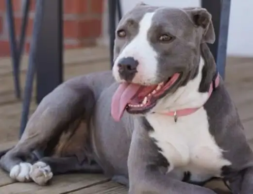 It took Mom three months to change his heart