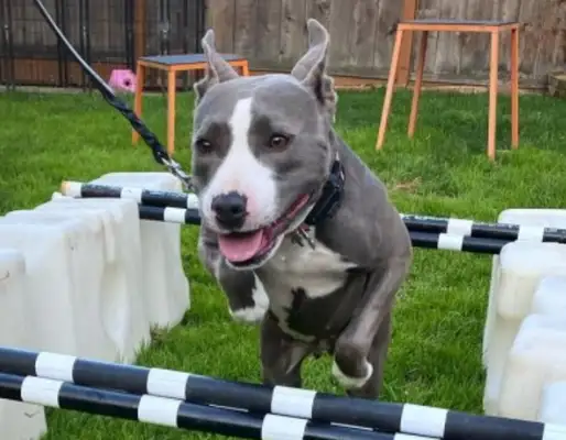 It took Mom three months to change his heart