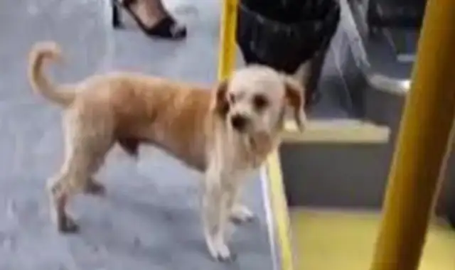 Is this the best? I can't believe I'm waiting for you to get off the bus