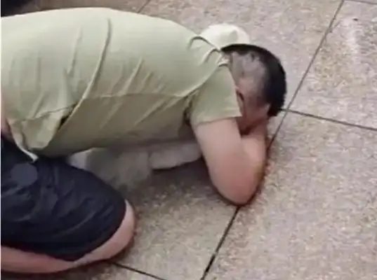 The pet dog was hit, the man hit the car with his head, the lady cried