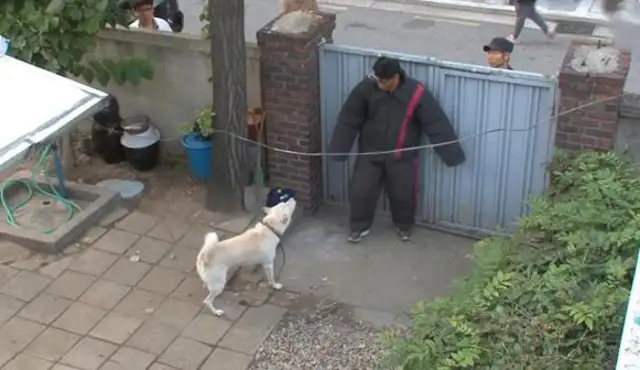 The pet dog's personality has changed. He's got a big mouth for his master