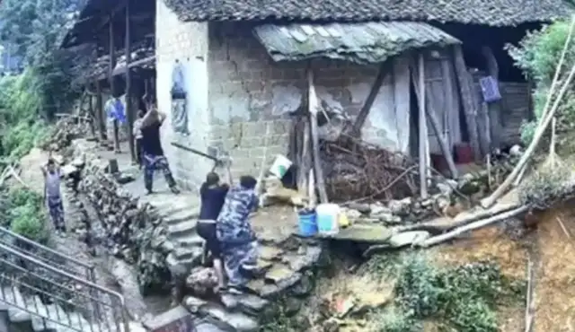 Several men came to the village with sticks to kill dogs, official: someone was bitten by a dog and killed by a stray dog