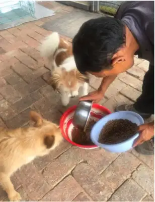 Zero, what about the stray dog from the slaughterhouse