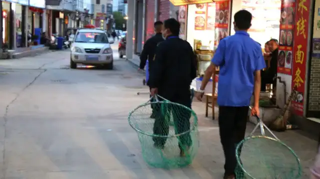 In Liang, you can't have a dog without being civilized