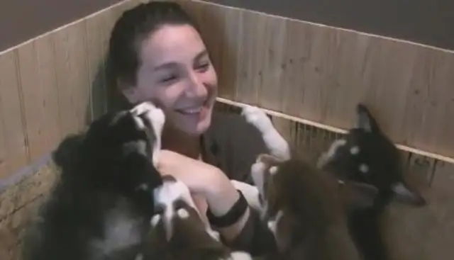 He's got seven pups, and he won't get up on the ground