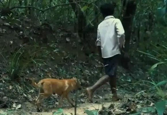 The little boy took the dog up the hill and suddenly the dog got caught up in a snake