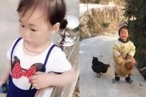 The master took the exams and gave the dog to the country grandma