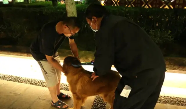In Liang, you can't have a dog without being civilized